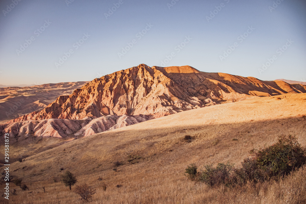 Naklejka premium photos