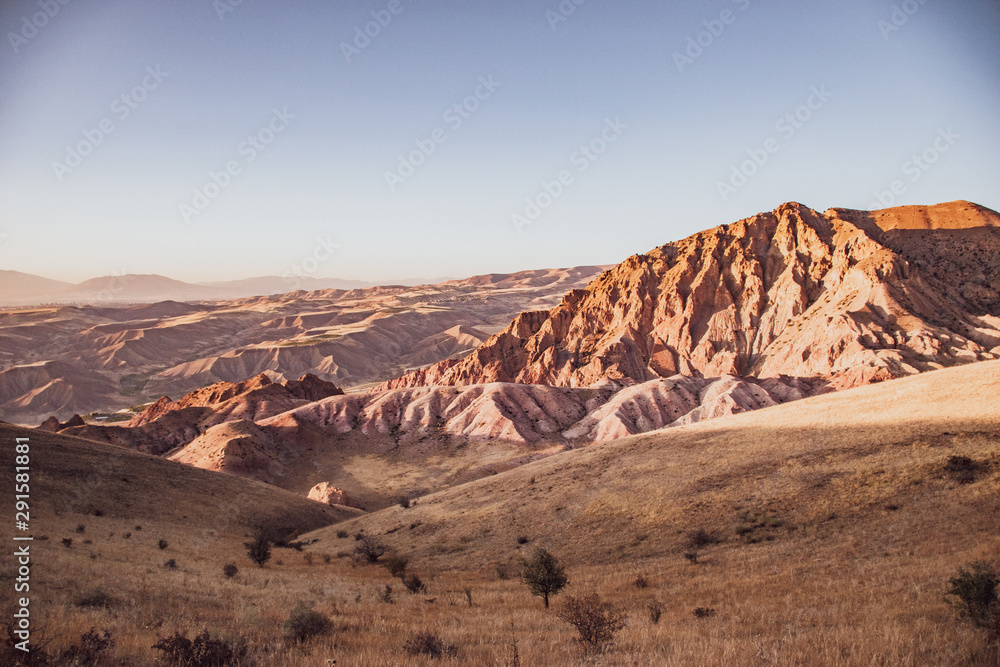 Naklejka premium photos