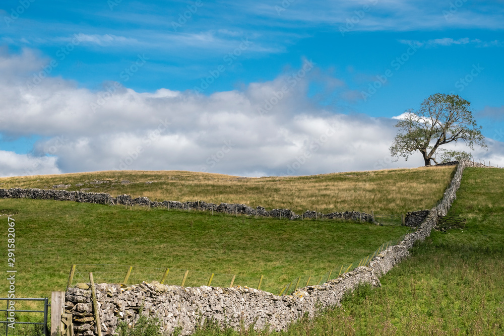 The Yorkshire Dales near to Settle in Craven