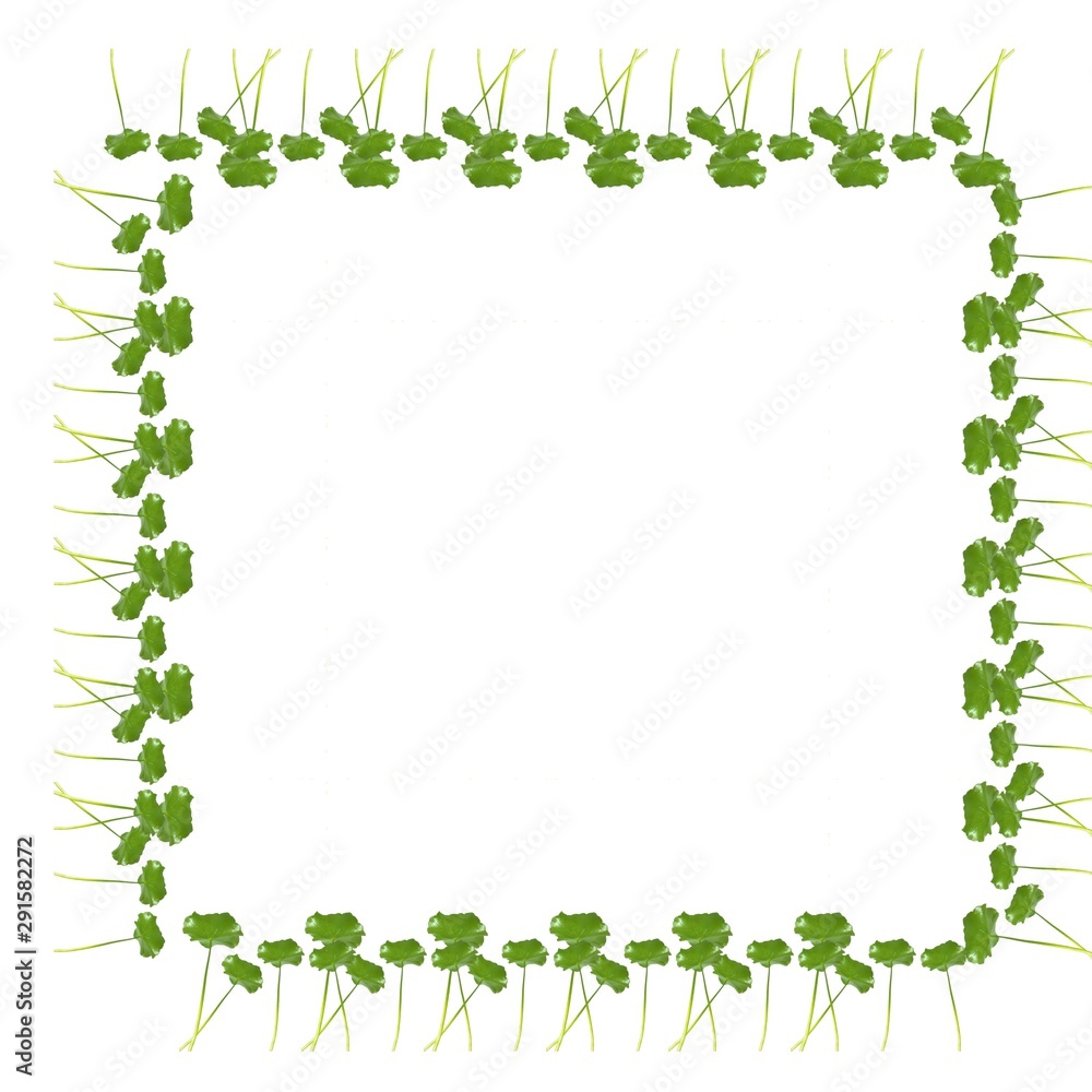 nature pattern design for home clothes and home wall nature pattern design for home clothes and home wall