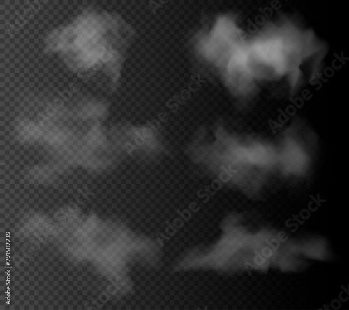 Set of the vector realistic clouds isolated on dark transparent background.