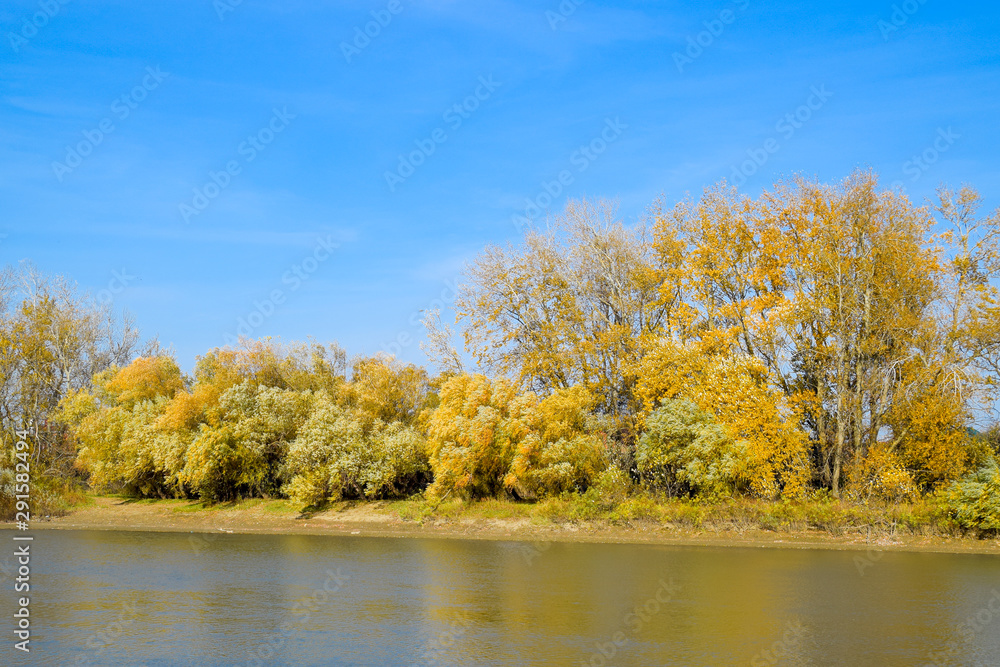 Autumn landscape. River bank with autumn trees. Poplars on the b Autumn landscape. River bank with autumn trees. Poplars on the b