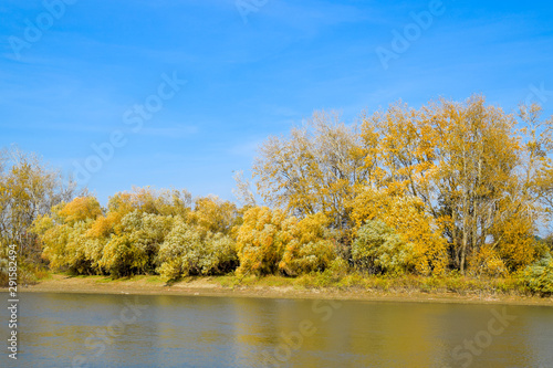 Autumn landscape. River bank with autumn trees. Poplars on the b