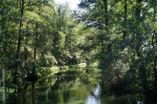 Stimmungsvolle Flusslandschaft im Spreewald