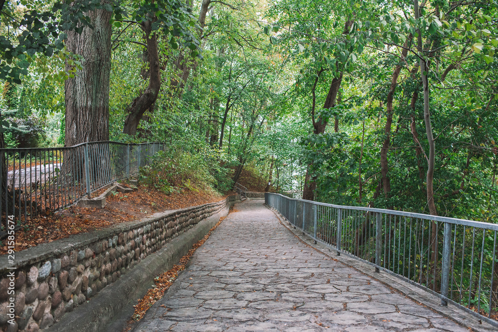 Obraz premium Stone paved road in a beautiful green forest. Trail road with nobody in a quiet place