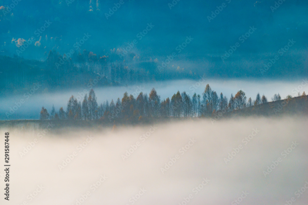 Misty morning in the mountains