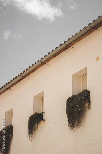 Spanish Architecture