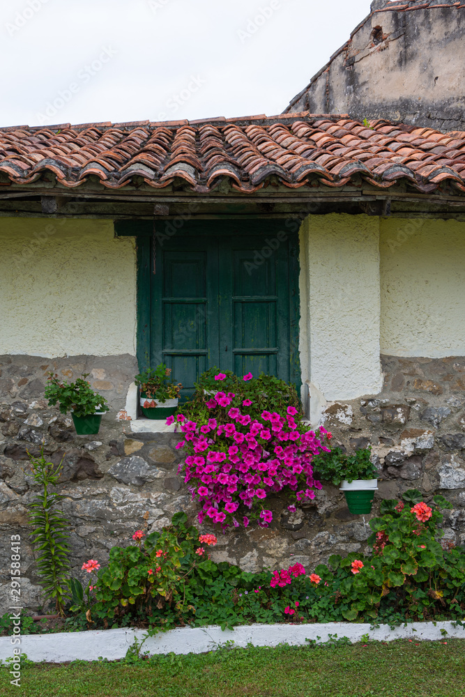 Facade of country house with green window, flowers and vegetation, vertically, in Cantabria, Spain, Europe