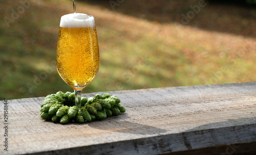 Pouring cold beer into pintglass and hop flowers heart shaped. photo