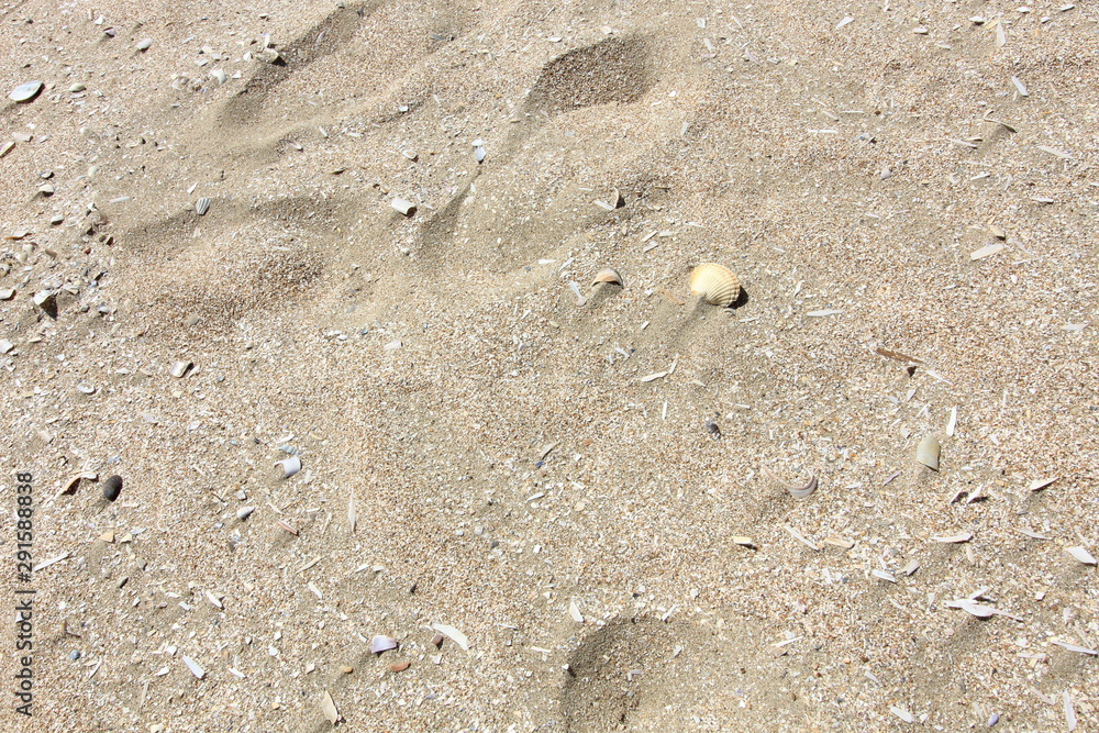 plage-3 plage-3
