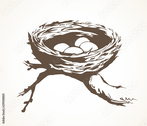 Nest. Vector drawing