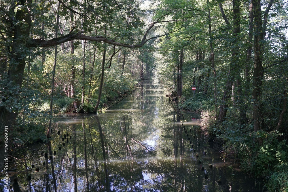 Kanal im Spreewald bei Sonnenschein Kanal im Spreewald bei Sonnenschein