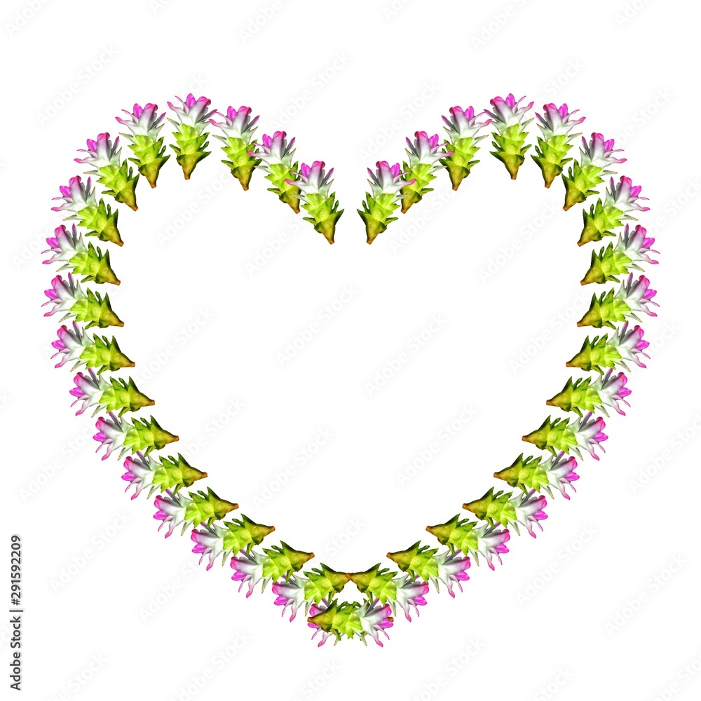 nature pattern design for home clothes and home wall nature pattern design for home clothes and home wall
