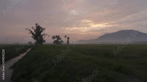 Timelapse panning to right hazy morning in green rice paddy field with coconut tree and a hill as background at Bukit Mertajam, Penang. photo