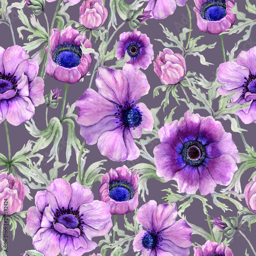 Beautiful anemone flower with green leaves on grey background.  Seamless flor...