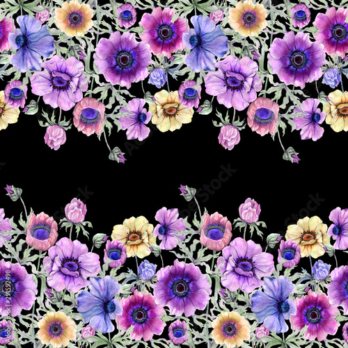 Beautiful colorful anemone flowers with green leaves on black background. Sea...