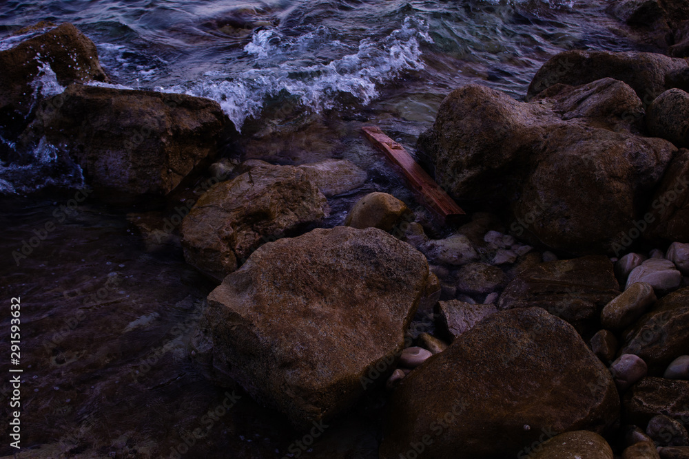 Fototapeta premium El Tronco