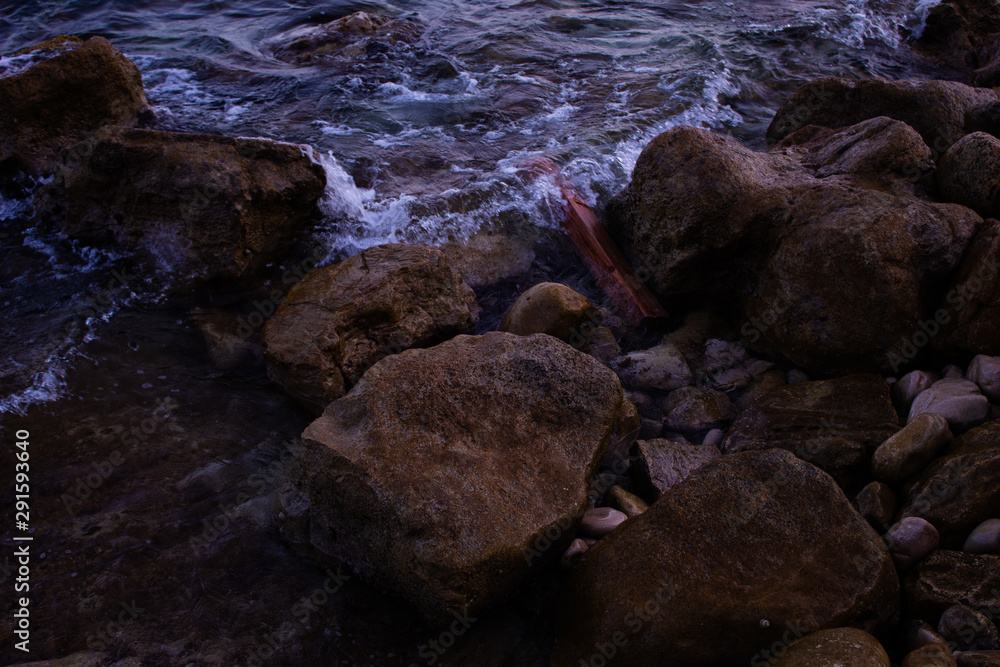 Obraz premium El Tronco