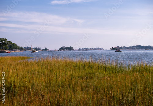 Long Island Sound Marsh