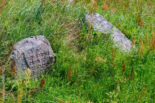 porzucona macewa na opuszczonym cmentarzu żydowskim