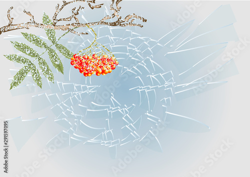 winter frost background
