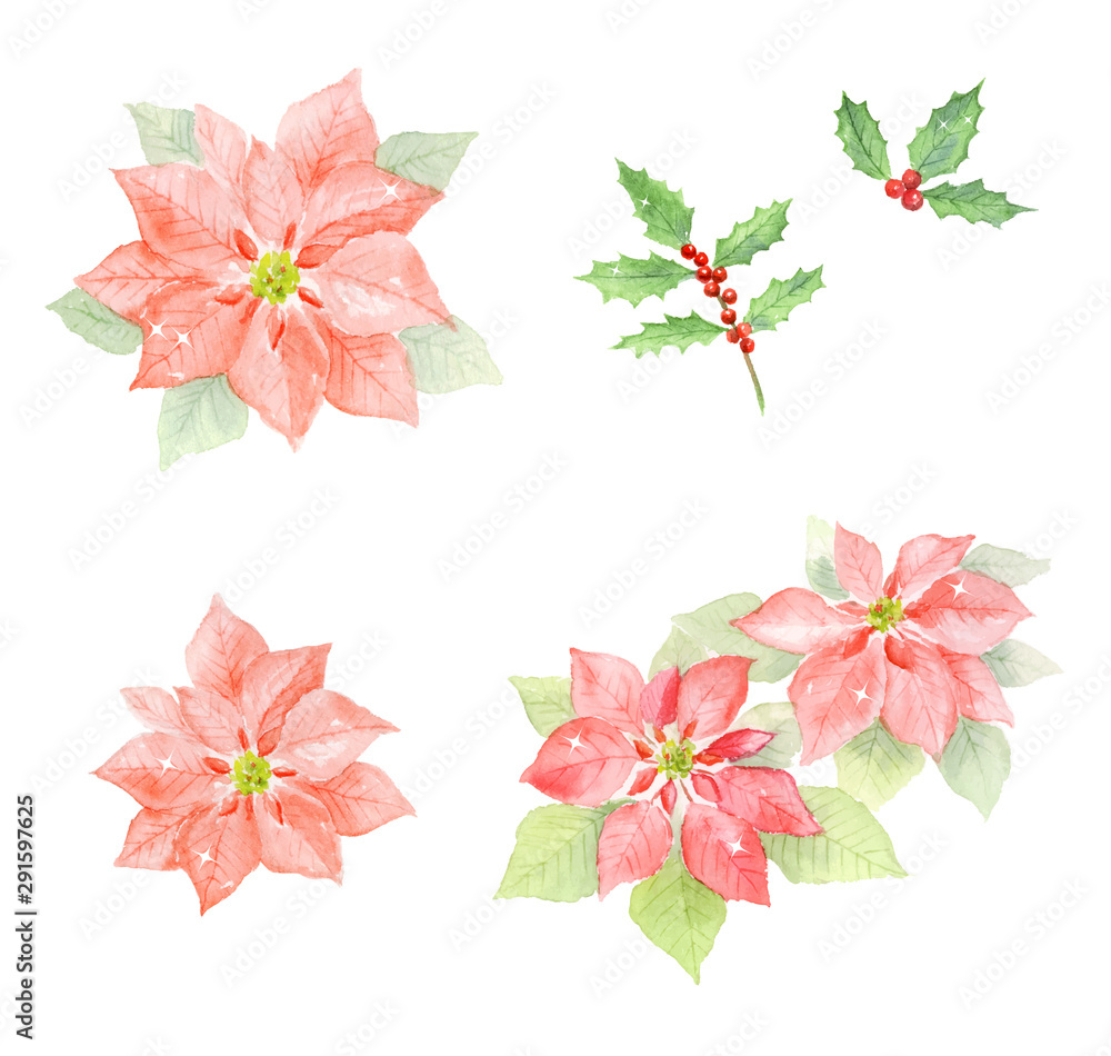 ポインセチア 柊 水彩イラストセット Stock Vector Adobe Stock