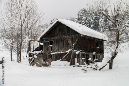 Turkey national park Abant, Bolu