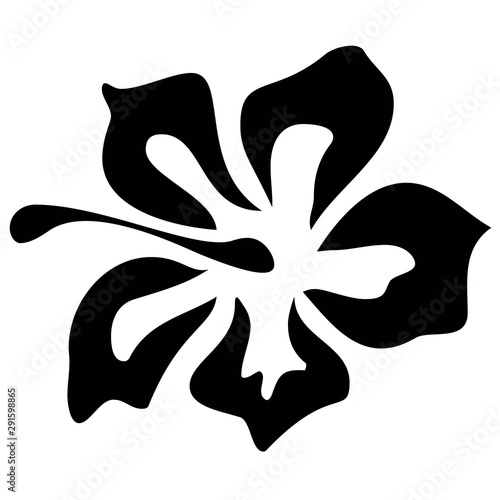 Collection with hibiscus flower. Hibiscus flower. Spring decoration. Exotic botanical background. Exotic summer print. Beautiful black pattern on white backdrop.