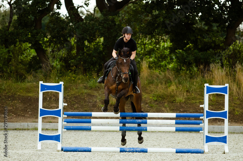 Reiterin springt mit einem braunen Pferd über Hindernisse auf dem Reitplatz