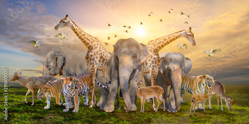 Large group of african safari animals. Wildlife conservation concept photo