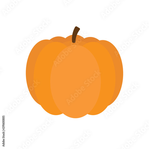 Vector flat cartoon orange pumpkin isolated on white background