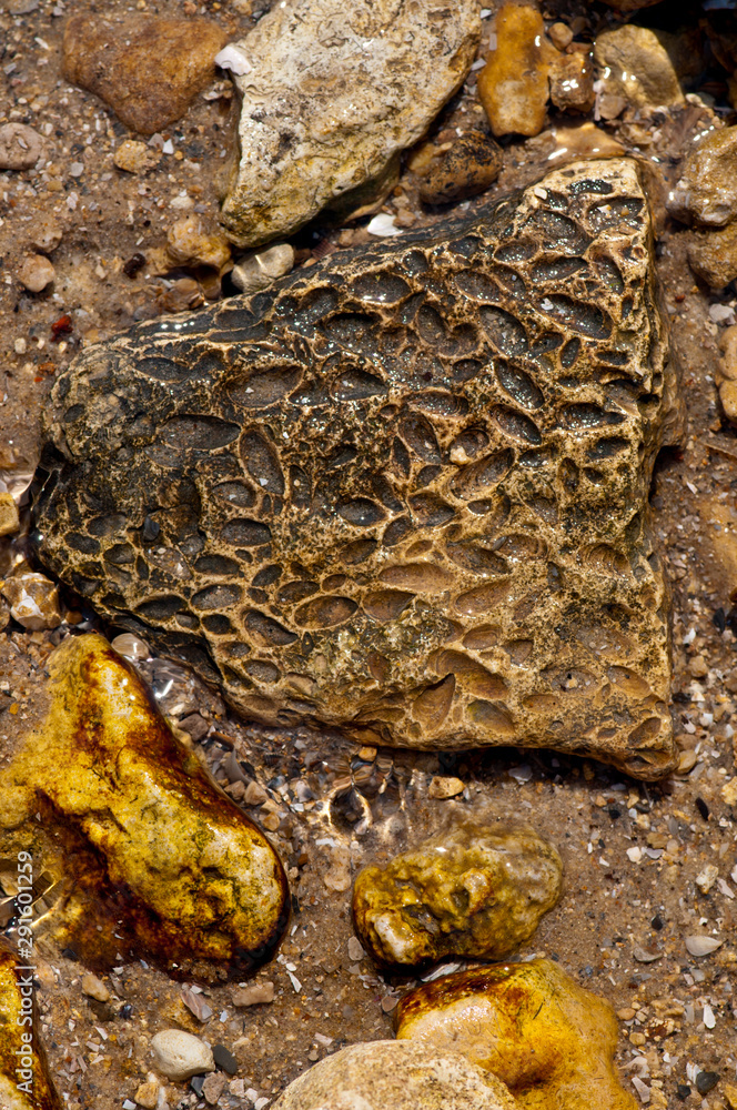 Shell rock in a little stream near Azov seaside Shell rock in a little stream near Azov seaside