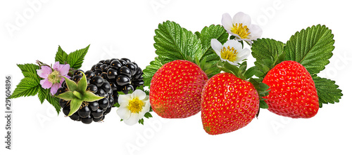 Fototapeta Naklejka Na Ścianę i Meble -  Strawberry and blackberry with flower isolated on white background