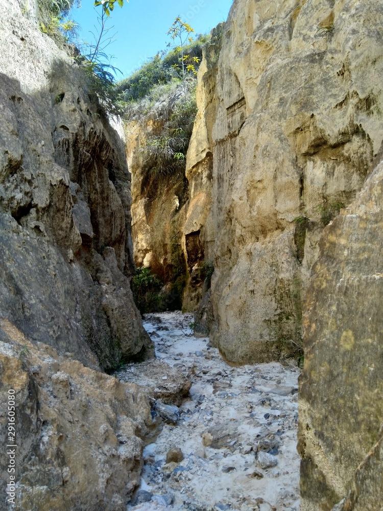 Canyon or Cracks of San Pedro De Los Altos in Venezuela