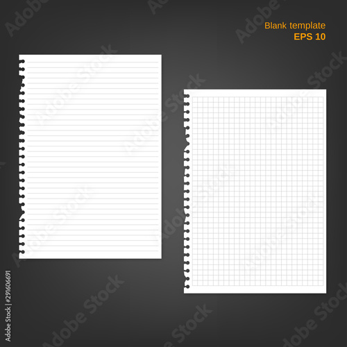 Vector illustration of 2 block note papers with torn edge. Lined and squared ripped pages on grey background. Empty white blanks can be used as a mock up template and backgrounds for your own projects