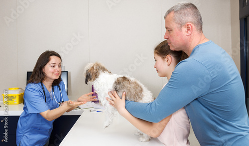 Female veterinarian examining puppy in clinic