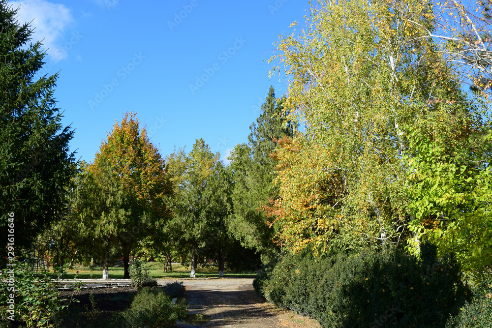 Collection of Beautiful Colorful Autumn Leaves Collection of Beautiful Colorful Autumn Leaves
