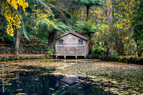 Wooden cabin in Alfred Nicholas gardens photo