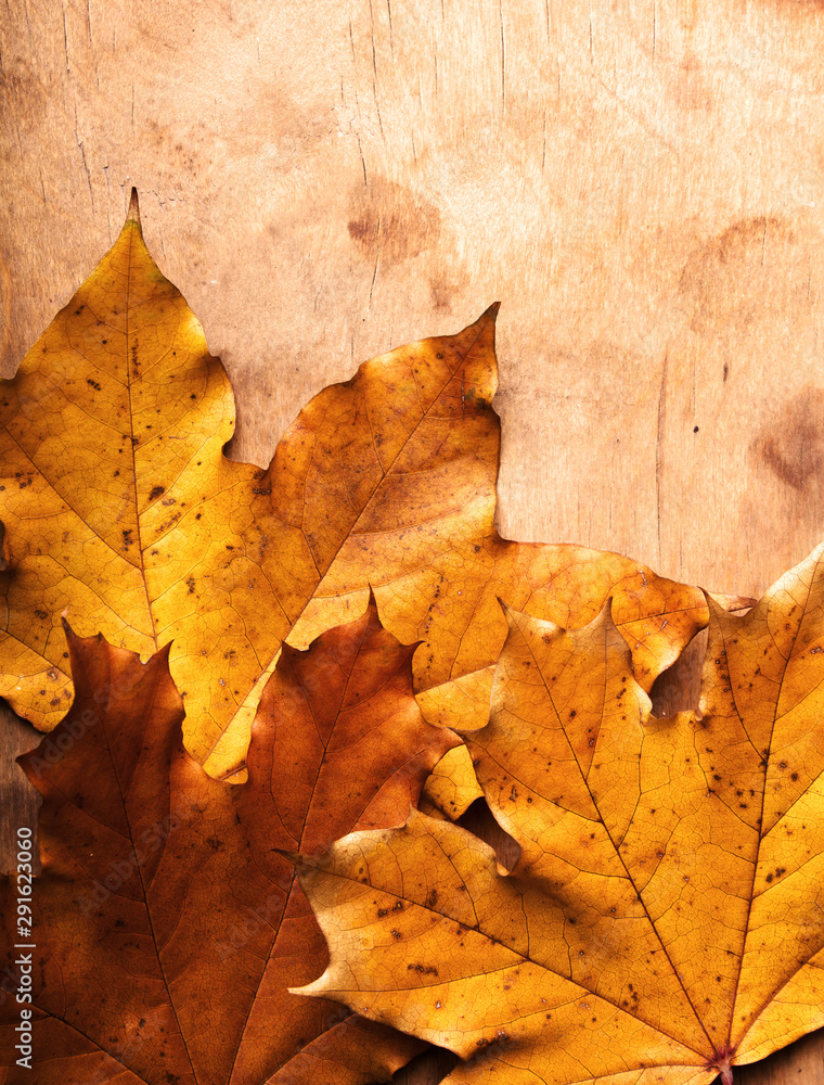 Autumn Leaves over wooden background Autumn Leaves over wooden background