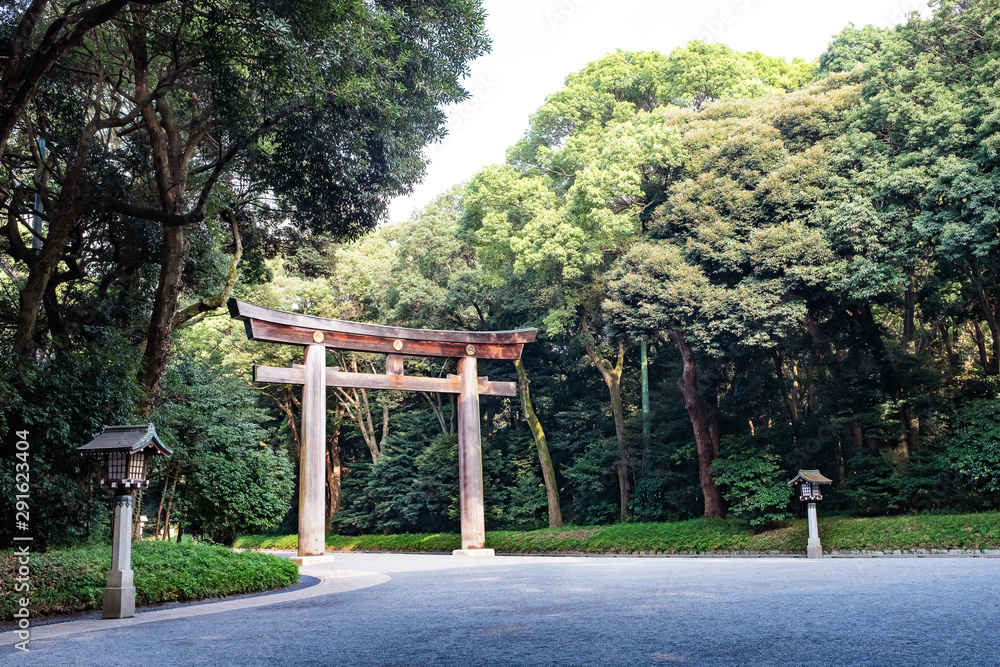 Wooden Torii gateway, the traditional Japanese gate at Shinto Shrine, Meiji-jingu in Tokyo, Japan.