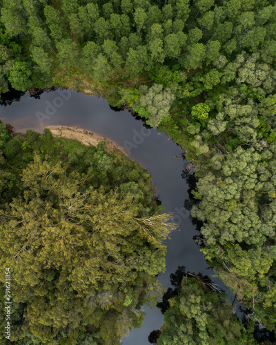 View from above of a creek in the middle of a forest.