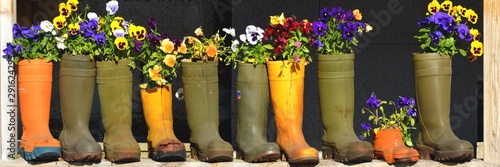 Series of Old Boots and Shoes reused as Flower Pots, 3:1 photo