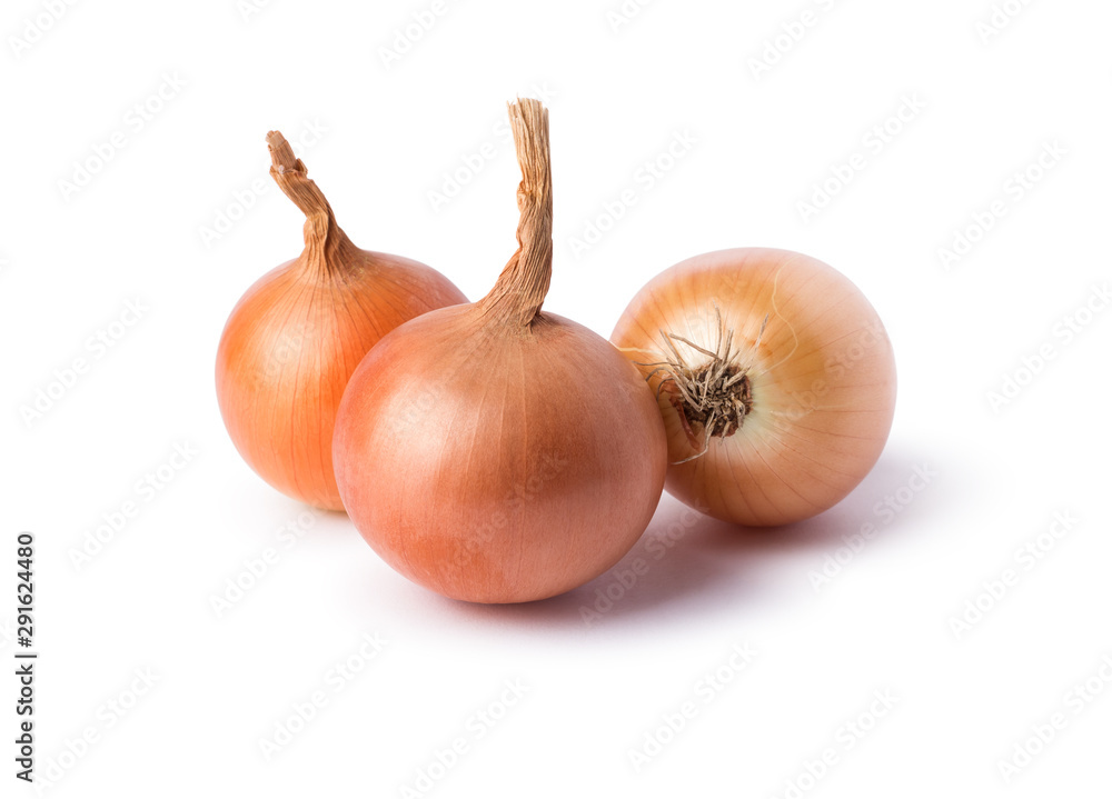 Fresh onion bulbs isolated on white background Fresh onion bulbs isolated on white background
