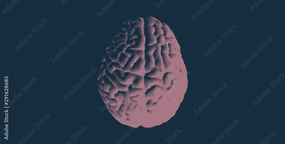 Engraving human brain illustration on dark BG Engraving human brain illustration on dark BG