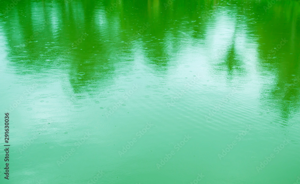 The water surface is shaded by green trees.