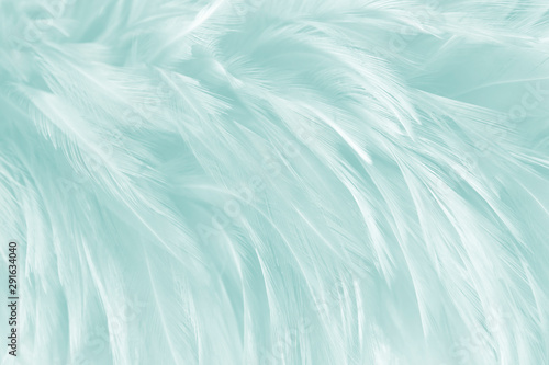 green feathers line texture background