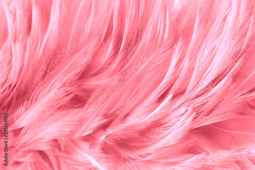 pink feathers line texture background © Siwakorn1933