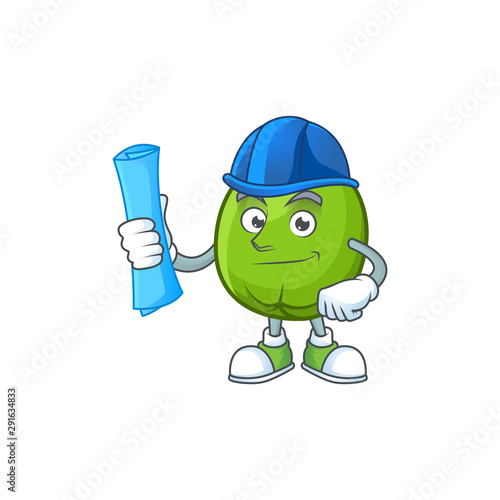 Architect fresh casimiroa mascot on white background. photo