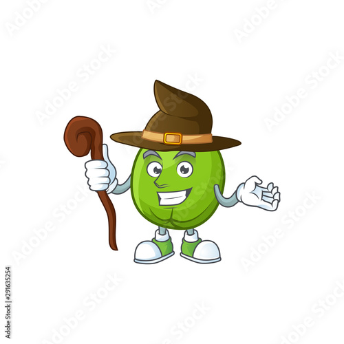 Witch casimiroa fruit cartoon character with mascot