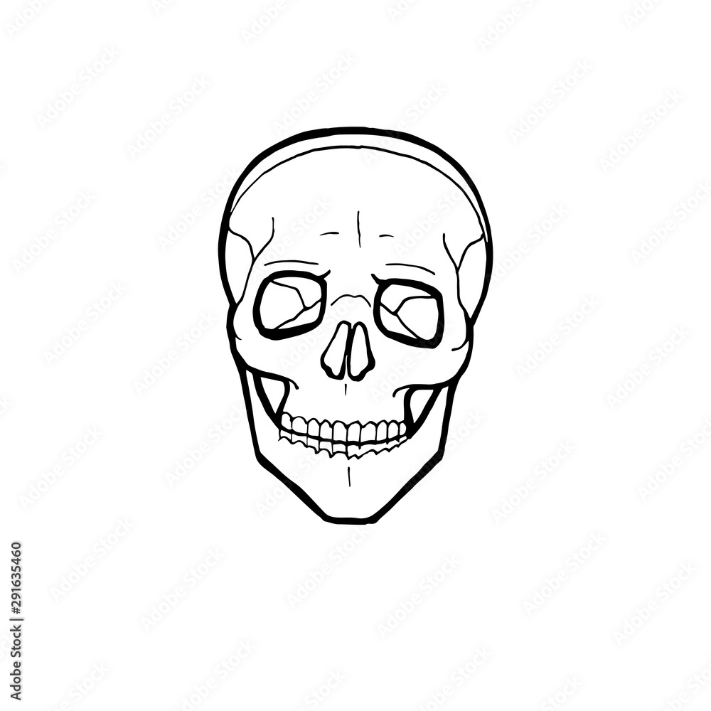 Black and white human skull with a lower jaw. Vector logo illustration